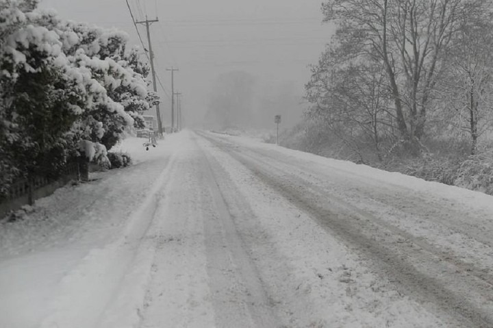 В Адыгее объявили экстренное предупреждение по мокрому снегу 