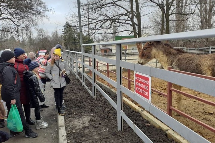 Ростовский зоопарк пригласил в гости детей и их родителей из Донбасса