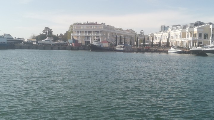 Качество воды в Черном море в районе города-курорта Сочи соответствует норме  