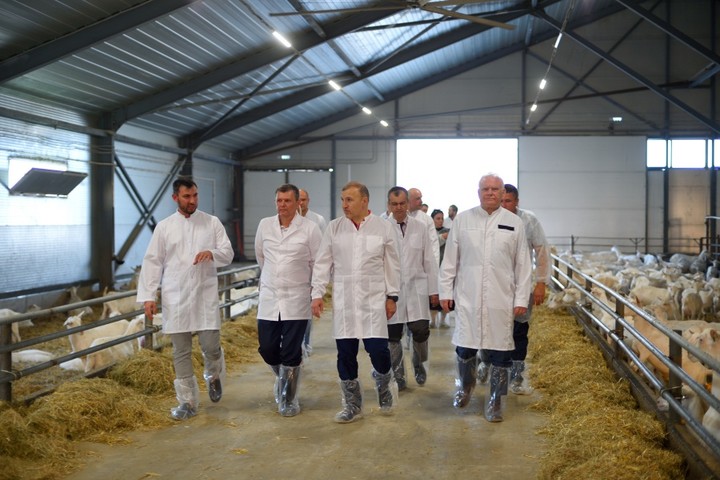  Мурат Кумпилов посетил товарно-молочный комплекс компании «Мирный – Адыгея» 