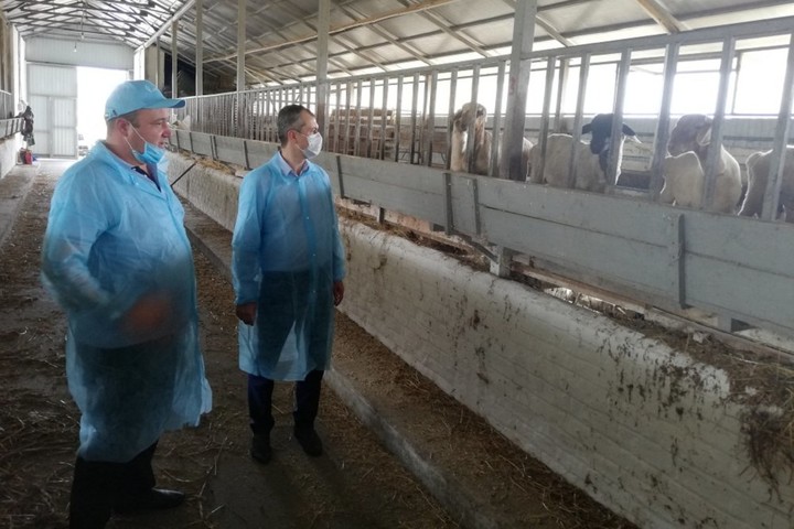 Животноводческие хозяйства Адыгеи полностью готовы к зимовке скота