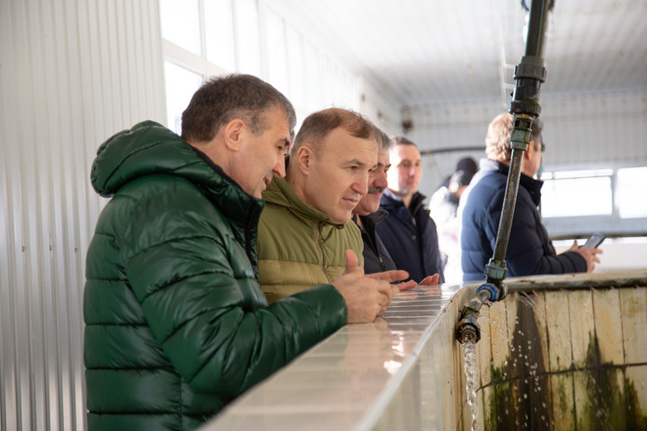 Глава Адыгеи Мурат Кумпилов побывал на рыбоводческом хозяйстве