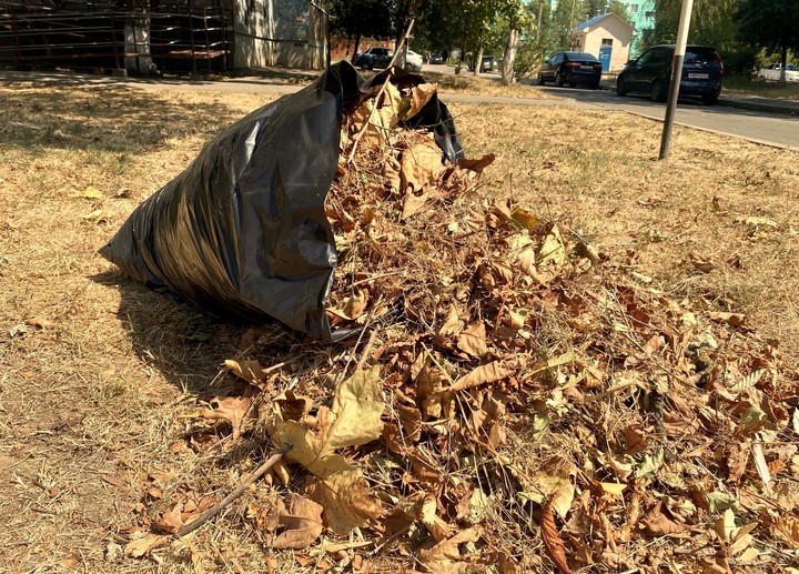 Регоператор в Адыгее  вывозит осеннюю листву в Майкопе