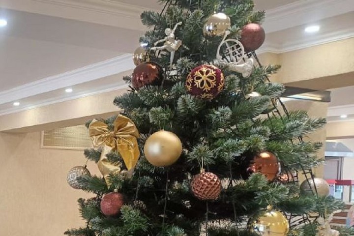 Жителям Адыгейска предоставят возможность утилизировать новогодние ёлки