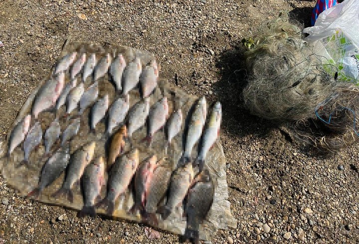 В Адыгее задержаны двое жителей Кубани за незаконный вылов рыбы