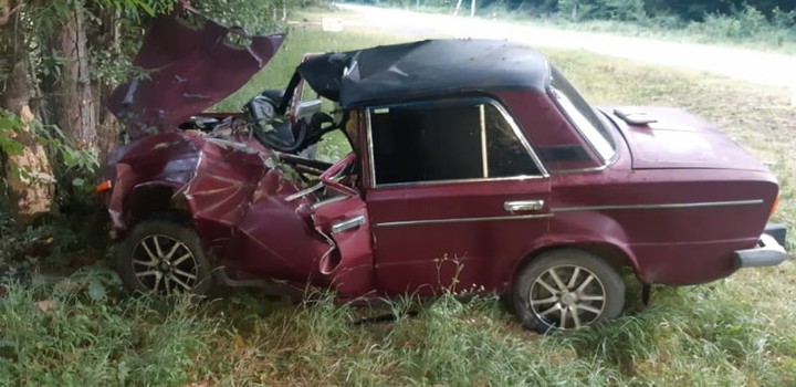 В Адыгее автомобиль насмерть сбил лошадь и врезался в дерево